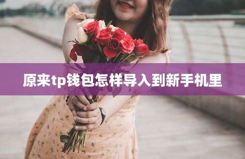 原来tp钱包怎样导入到新手机里