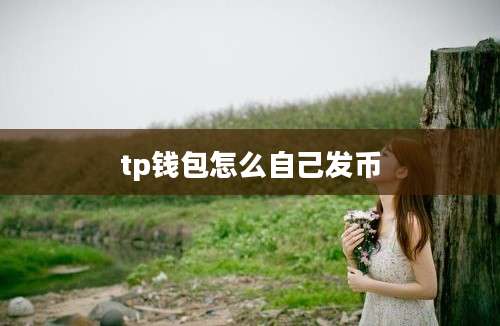 tp钱包怎么自己发币