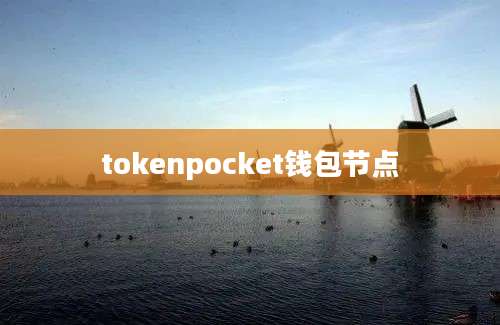 tokenpocket钱包节点