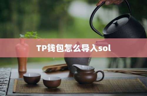 TP钱包怎么导入sol
