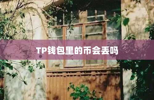 TP钱包里的币会丢吗