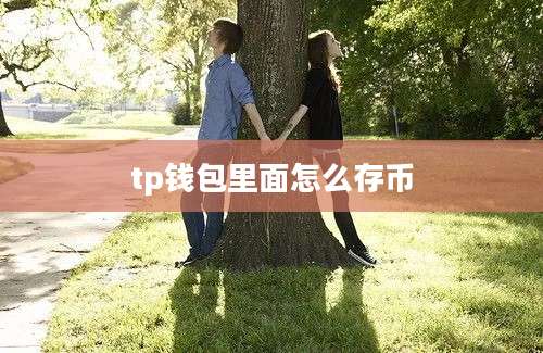 tp钱包里面怎么存币