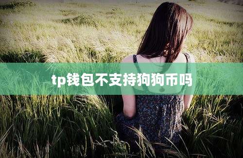 tp钱包不支持狗狗币吗