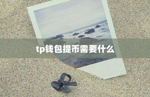 tp钱包提币需要什么