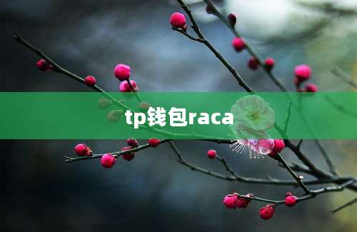 tp钱包raca