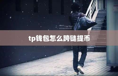 tp钱包怎么跨链提币