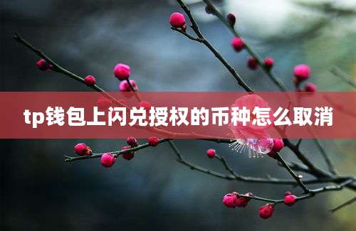 tp钱包上闪兑授权的币种怎么取消