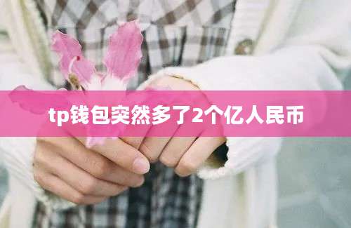 tp钱包突然多了2个亿人民币