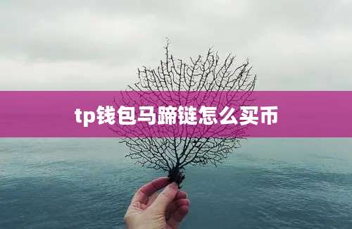 tp钱包马蹄链怎么买币