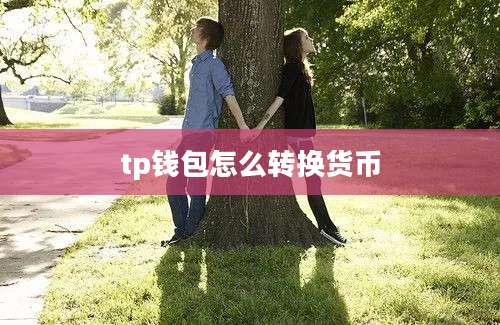 tp钱包怎么转换货币