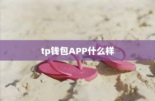 tp钱包APP什么样
