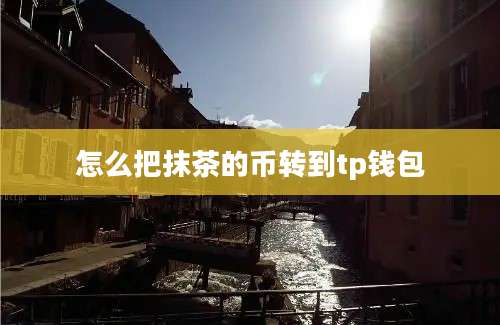 怎么把抹茶的币转到tp钱包