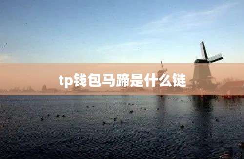 tp钱包马蹄是什么链
