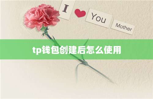 tp钱包创建后怎么使用