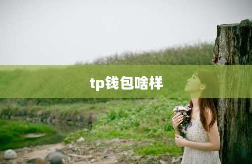 tp钱包啥样