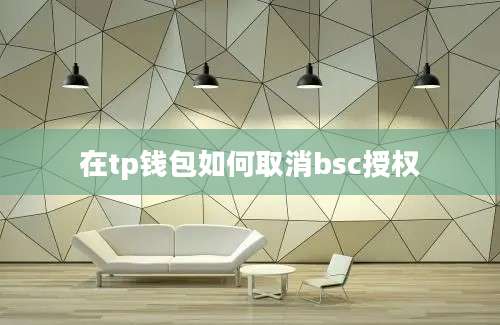在tp钱包如何取消bsc授权