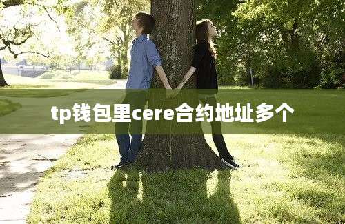 tp钱包里cere合约地址多个