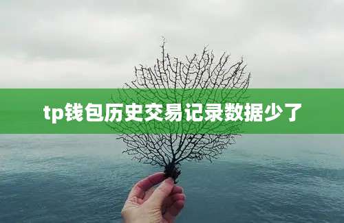 tp钱包历史交易记录数据少了