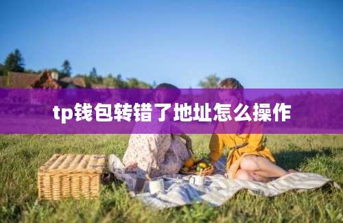 tp钱包转错了地址怎么操作