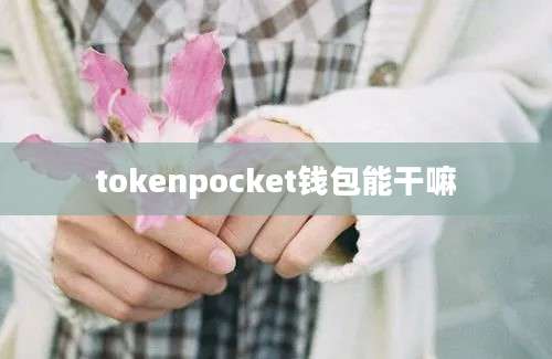 tokenpocket钱包能干嘛