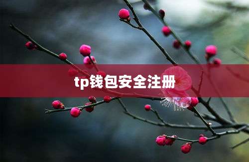 tp钱包安全注册
