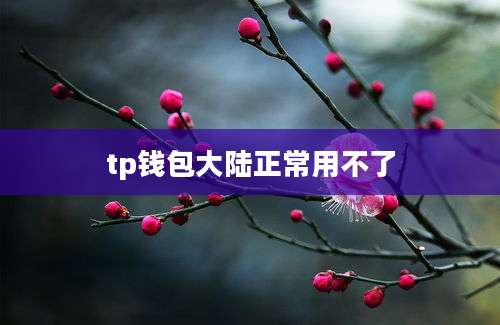 tp钱包大陆正常用不了