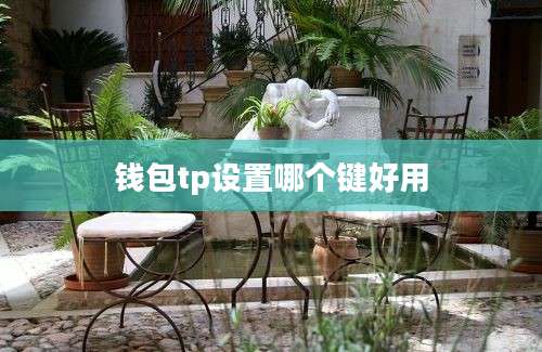 钱包tp设置哪个键好用