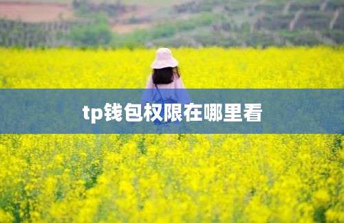 tp钱包权限在哪里看