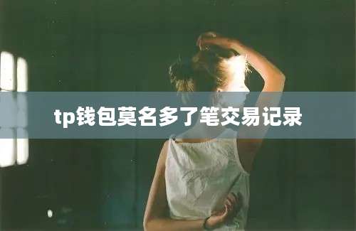 tp钱包莫名多了笔交易记录