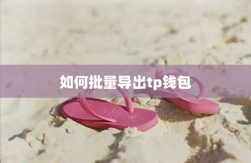 如何批量导出tp钱包