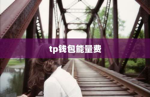 tp钱包能量费
