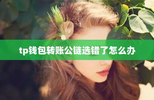 tp钱包转账公链选错了怎么办