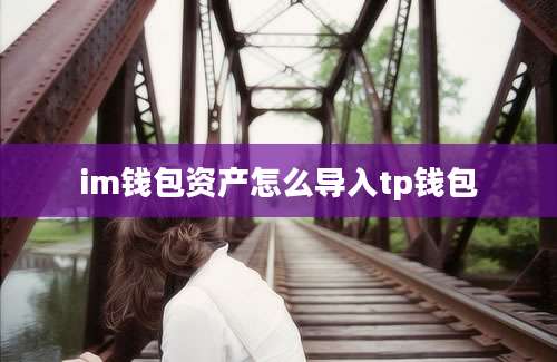 im钱包资产怎么导入tp钱包