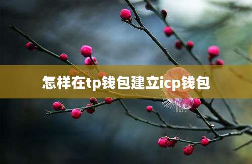怎样在tp钱包建立icp钱包