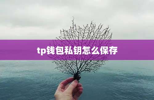tp钱包私钥怎么保存