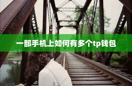 一部手机上如何有多个tp钱包