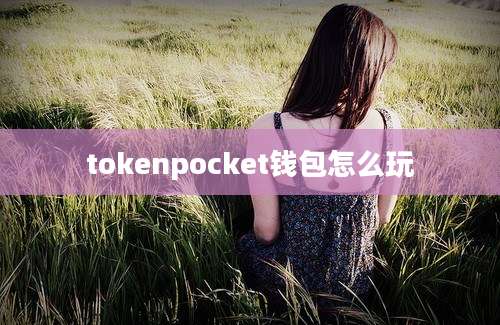tokenpocket钱包怎么玩
