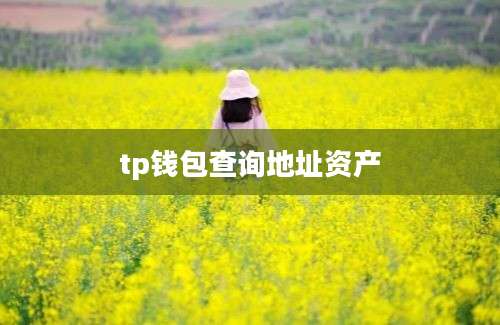tp钱包查询地址资产