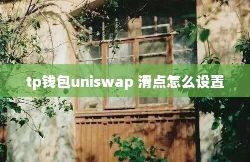 tp钱包uniswap 滑点怎么设置