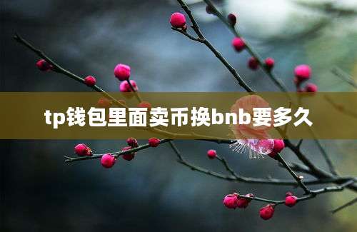 tp钱包里面卖币换bnb要多久