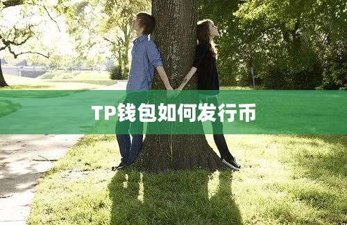 TP钱包如何发行币