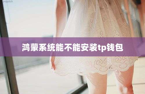 鸿蒙系统能不能安装tp钱包