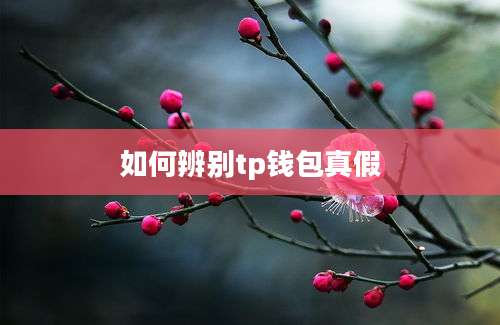 如何辨别tp钱包真假