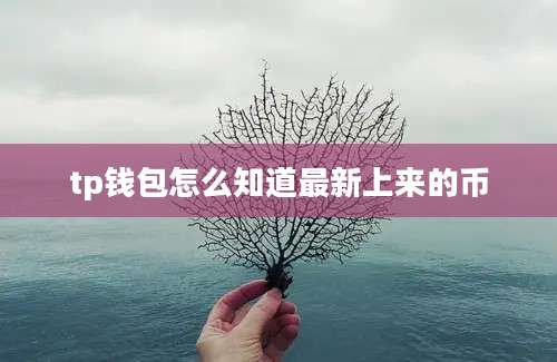 tp钱包怎么知道最新上来的币