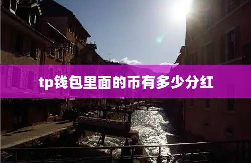 tp钱包里面的币有多少分红