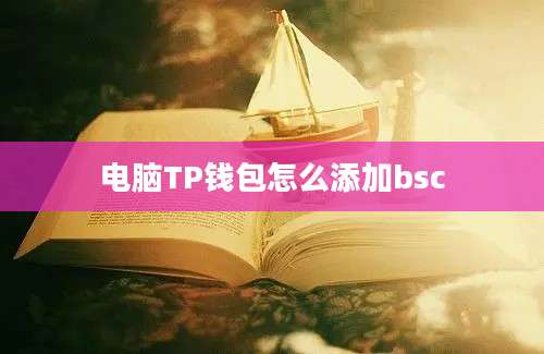 电脑TP钱包怎么添加bsc