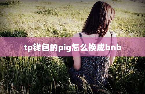 tp钱包的pig怎么换成bnb