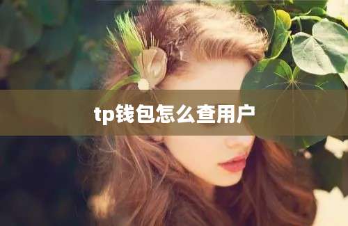 tp钱包怎么查用户