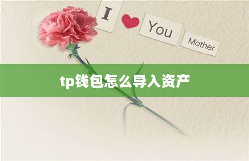 tp钱包怎么导入资产