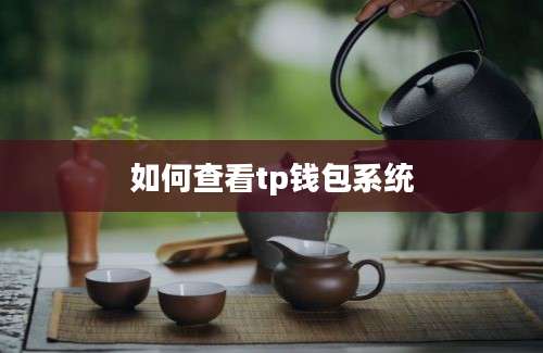 如何查看tp钱包系统